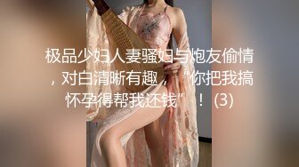 极品少妇人妻骚妇与炮友偷情，对白清晰有趣，“你把我搞怀孕得帮我还钱”！ (3)