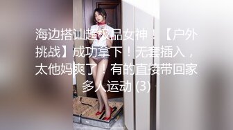 海边搭讪超极品女神！【户外挑战】成功拿下！无套插入，太他妈爽了！有的直接带回家多人运动 (3)