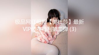 极品网红母狗【美杜莎】最新VIP付费福利第二弹 (3)