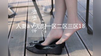 人妻aⅴ无码一区二区三区18