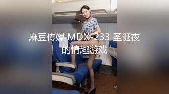 麻豆传媒 MDX-233 圣诞夜的情趣游戏