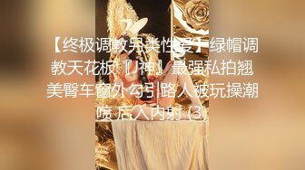 【终极调教另类性爱】绿帽调教天花板『J神』最强私拍翘美臀车窗外勾引路人被玩操潮喷 后入内射 (3)