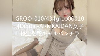 GROO-010(434groo00010)[Digital-ARK]KAIDAN女子校生階段ギャルパンチラ