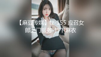 【麻豆传媒】tz-155 应召女郎上门服务-竹下麻衣