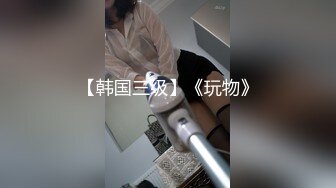 【韩国三级】《玩物》