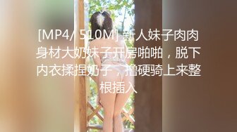 [MP4/ 510M] 新人妹子肉肉身材大奶妹子开房啪啪，脱下内衣揉捏奶子，撸硬骑上来整根插入