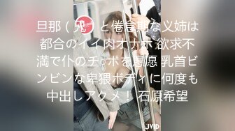 旦那（兄）と倦怠期な义姉は都合のイイ肉オナホ 欲求不満で仆のチ○ポを恳愿 乳首ビンビンな卑猥ボディに何度も中出しアクメ！ 石原希望