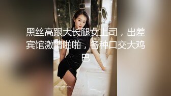 黑丝高跟大长腿女上司，出差宾馆激情啪啪，各种口交大鸡巴