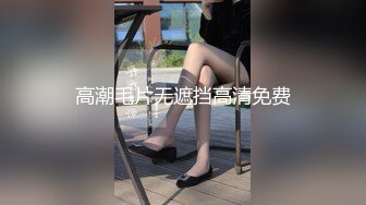 高潮毛片无遮挡高清免费