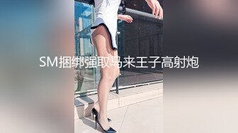 SM捆绑强取马来王子高射炮