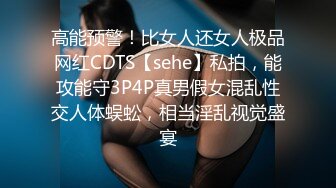 高能预警！比女人还女人极品网红CDTS【sehe】私拍，能攻能守3P4P真男假女混乱性交人体蜈蚣，相当淫乱视觉盛宴