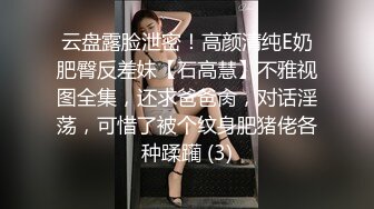 云盘露脸泄密！高颜清纯E奶肥臀反差妹【石高慧】不雅视图全集，还求爸爸肏，对话淫荡，可惜了被个纹身肥猪佬各种蹂躏 (3)