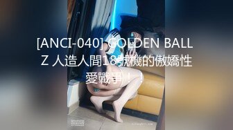 [ANCI-040] GOLDEN BALL Z 人造人間18號機的傲嬌性愛戰爭！！