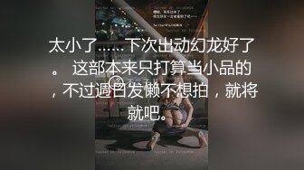 太小了……下次出动幻龙好了。 这部本来只打算当小品的，不过週日发懒不想拍，就将就吧。